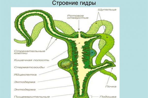 Кракен 16 даркнет продаж